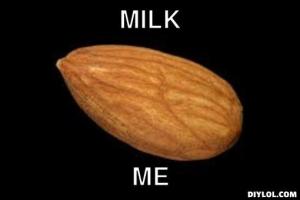 almond-meme-generator-milk-me-65369d